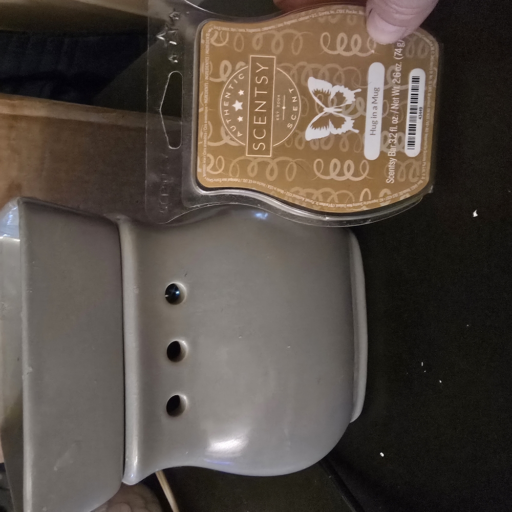 Scentsy Gray Wax Warmer